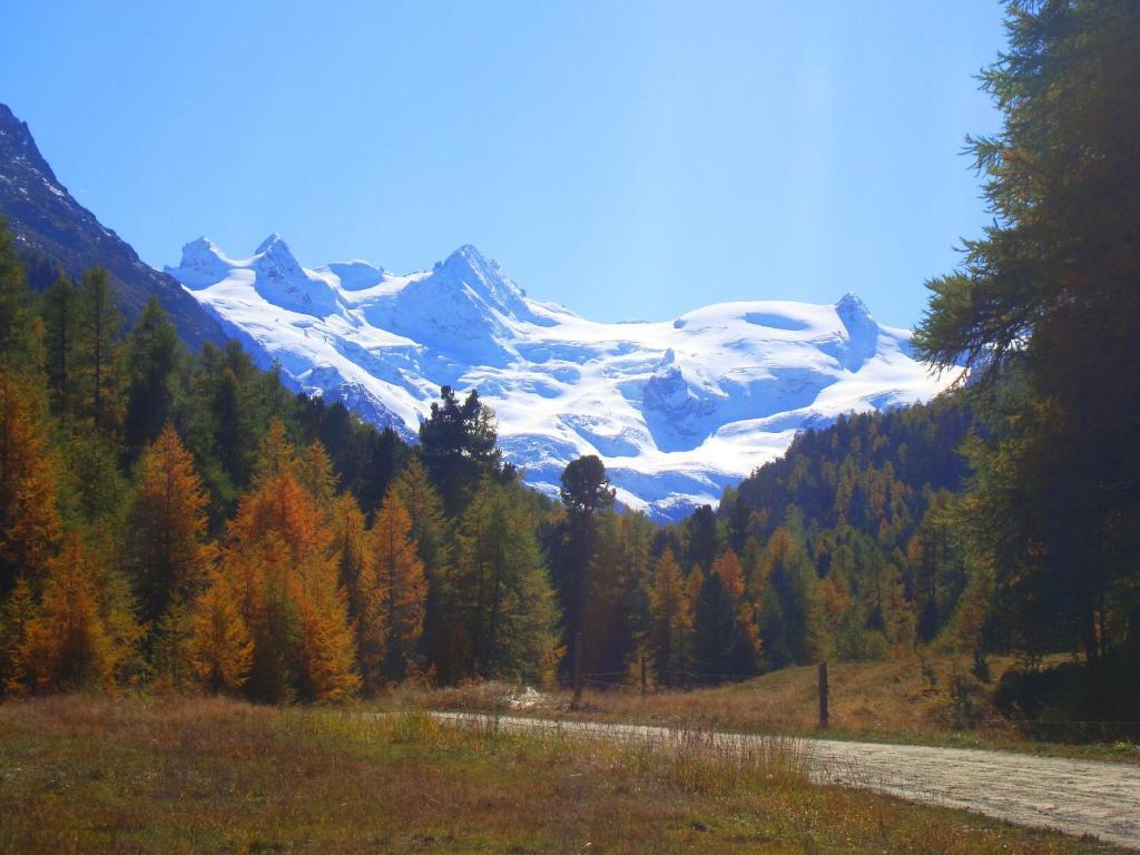 Hotel Roseg-Gletscher Pontresina Exteriér fotografie