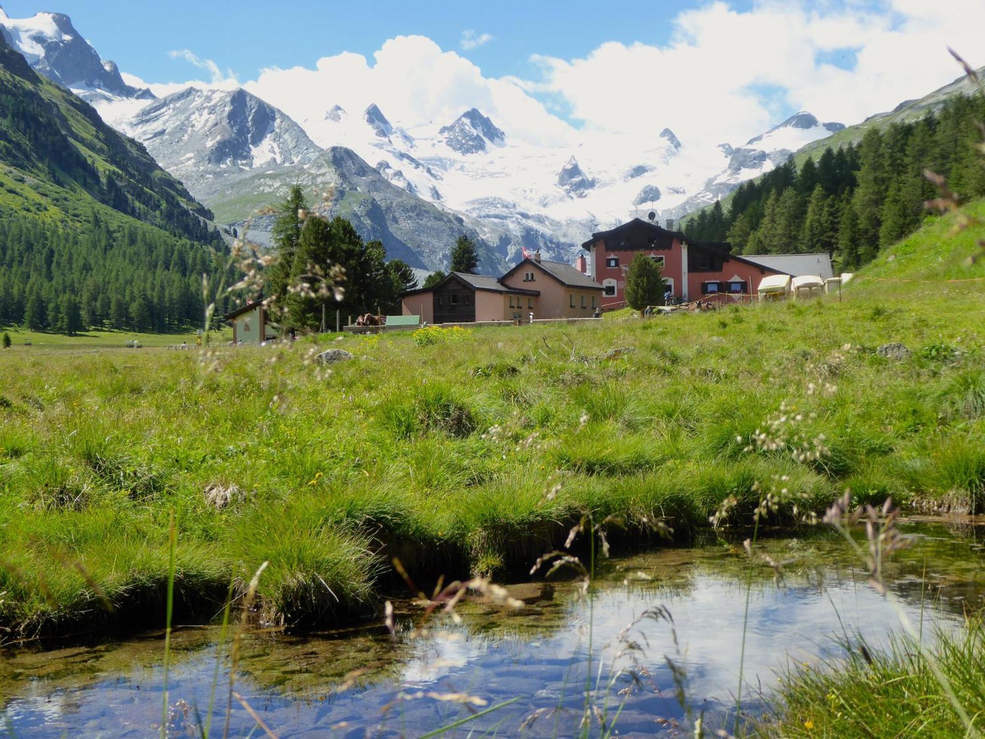 Hotel Roseg-Gletscher Pontresina Exteriér fotografie